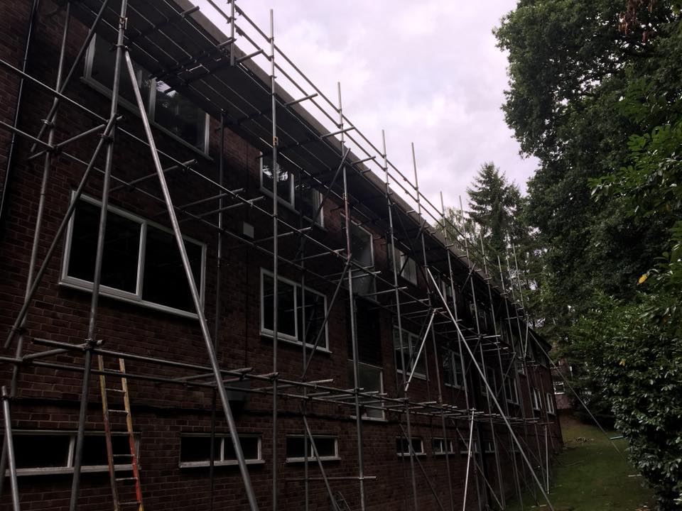 40284178_2194462700795310_5513589950420877312_n